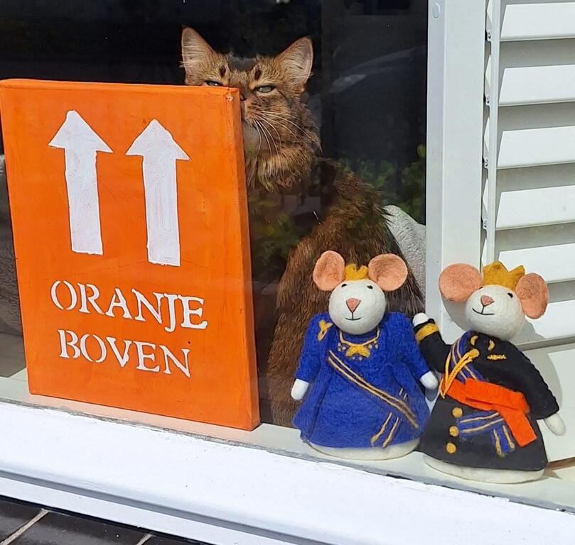 26-04-27 Koningsdag met Jack.jpeg 26-04-27 Koningsdag met Jack.jpeg