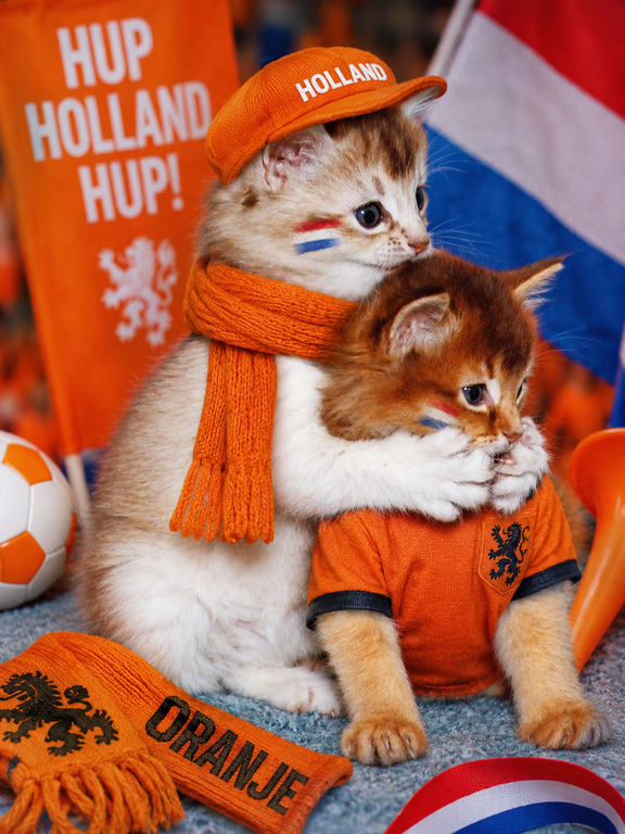 26-09-29 Yentle en Rosso Oranje.png